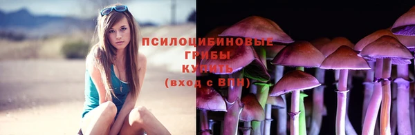 эйфоретик Алексин
