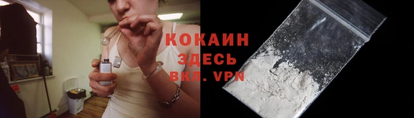 прущий лед Алзамай