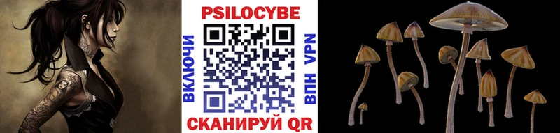 Псилоцибиновые грибы MAGIC MUSHROOMS  Осташков 